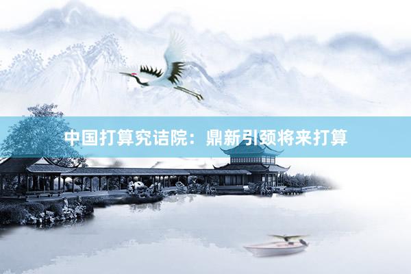 中国打算究诘院：鼎新引颈将来打算