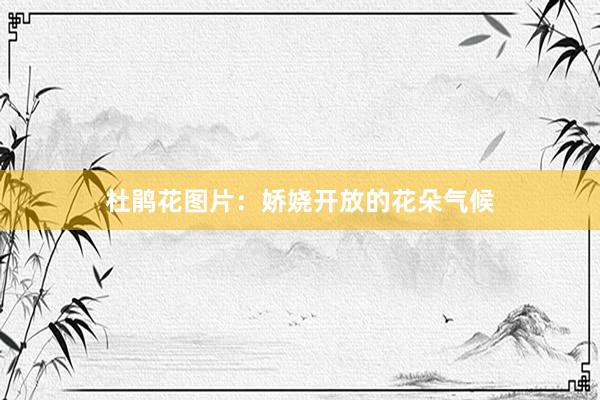 杜鹃花图片：娇娆开放的花朵气候