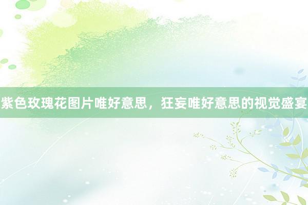 紫色玫瑰花图片唯好意思，狂妄唯好意思的视觉盛宴