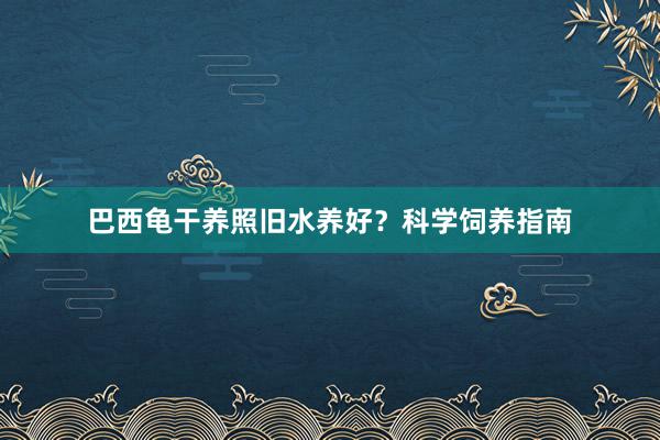 巴西龟干养照旧水养好？科学饲养指南