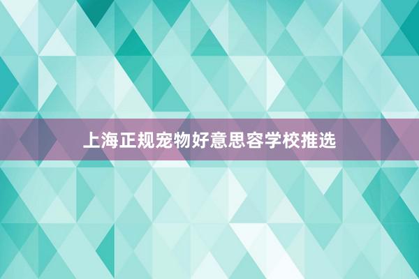 上海正规宠物好意思容学校推选